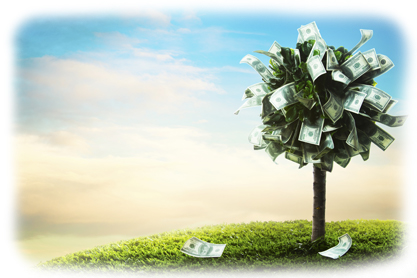 Money Market